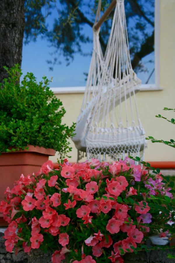 Globetrotter Bed & Breakfast Formia Exterior photo